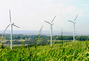 community-energy-Somerset-Wind-Farm